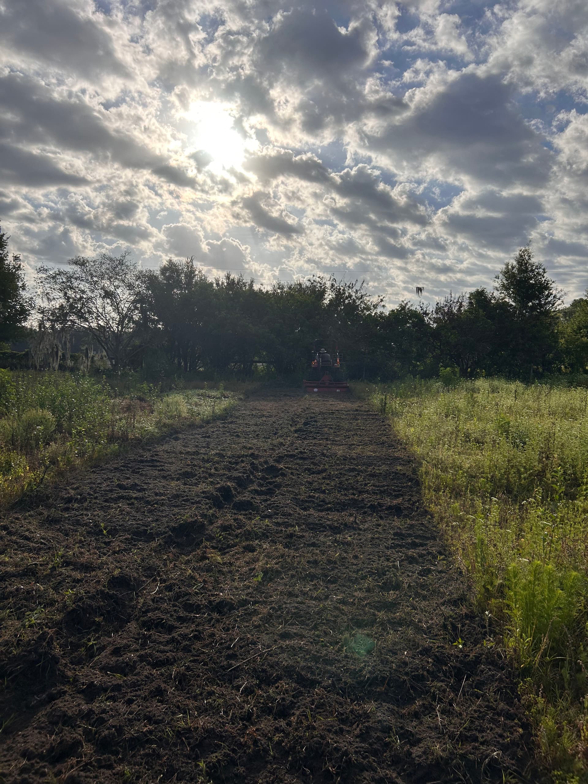 Gallery photos for Pond Area Cleanup, Organic Integration, and Driveway Drainage Grading: Image #2