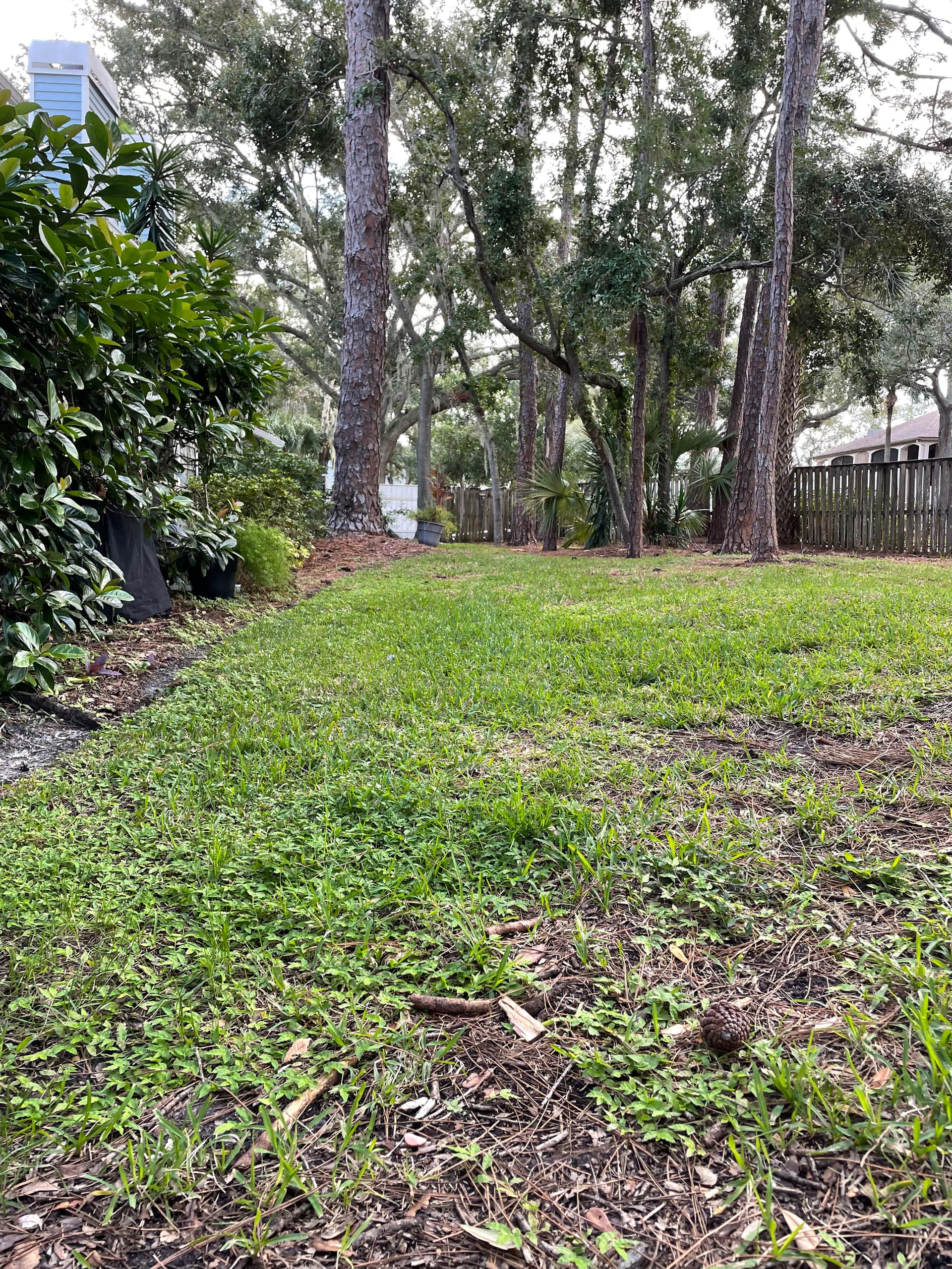Gallery photos for Backyard Drainage Swale Fixes Runoff Flooding Near Foundation: Image #5