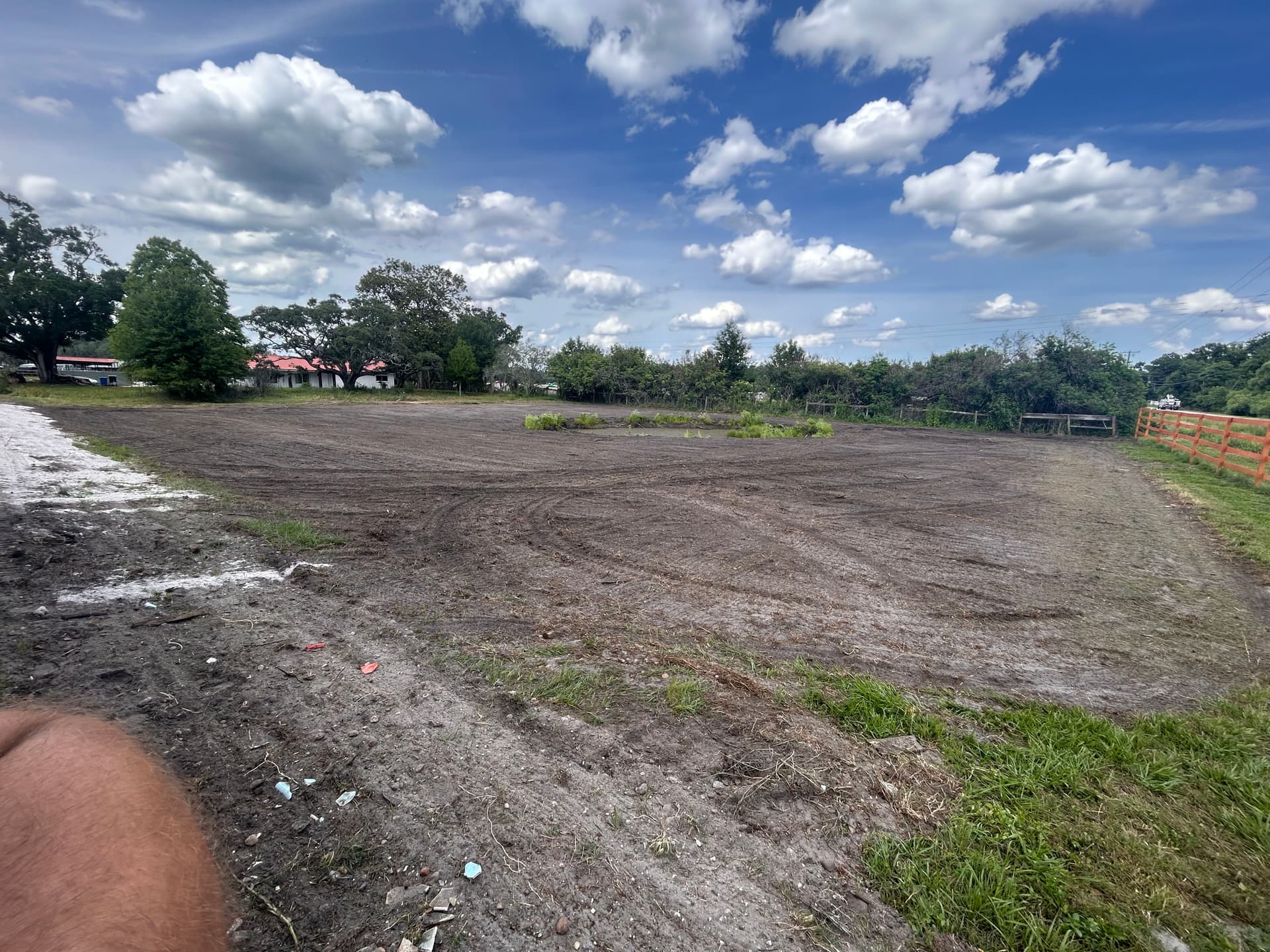 Gallery photos for Pond Area Cleanup, Organic Integration, and Driveway Drainage Grading: Image #1