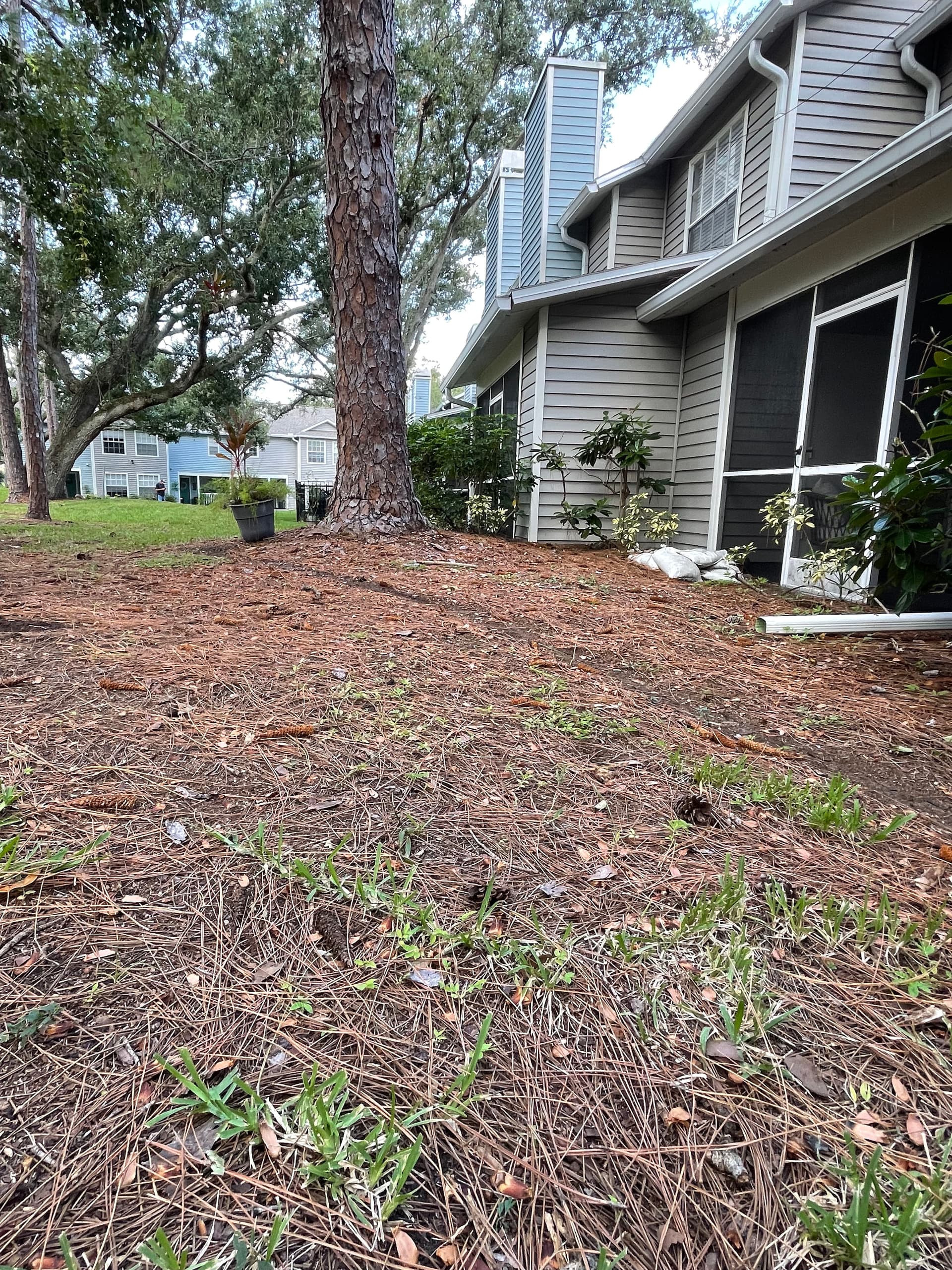 Gallery photos for Backyard Drainage Swale Fixes Runoff Flooding Near Foundation: Image #1