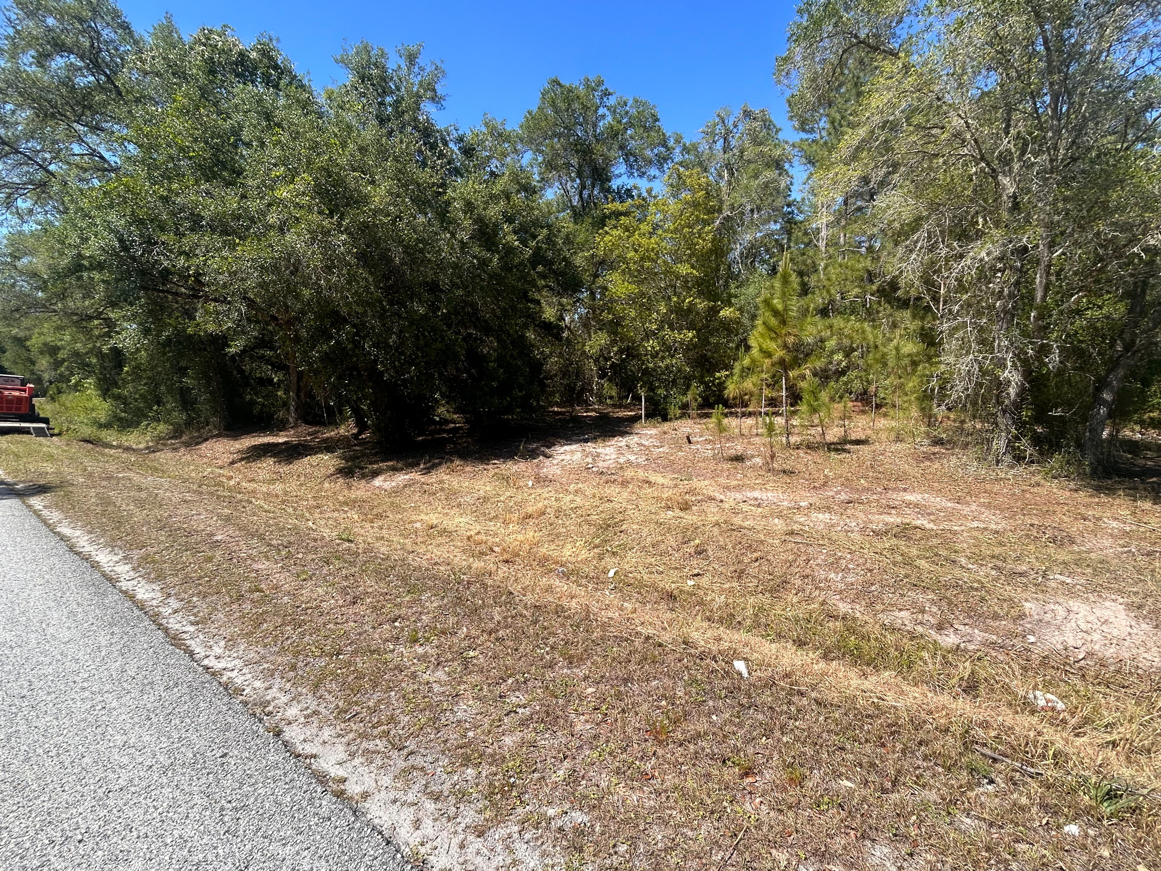 Project Over an Acre of Brush and Vines Cleared for a Market-Ready Property image