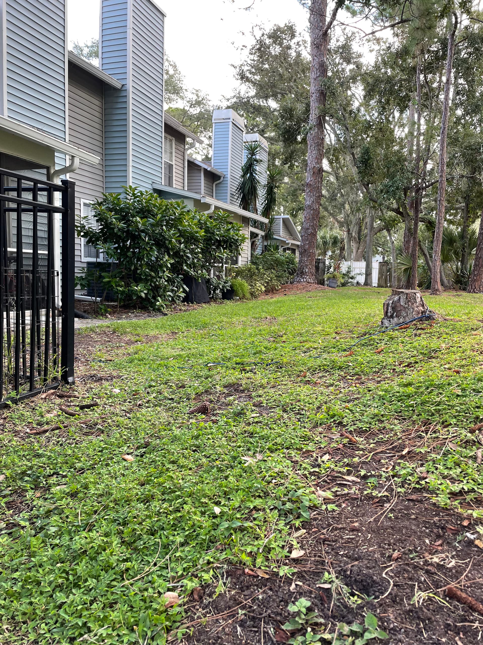 Gallery photos for Backyard Drainage Swale Fixes Runoff Flooding Near Foundation: Image #8