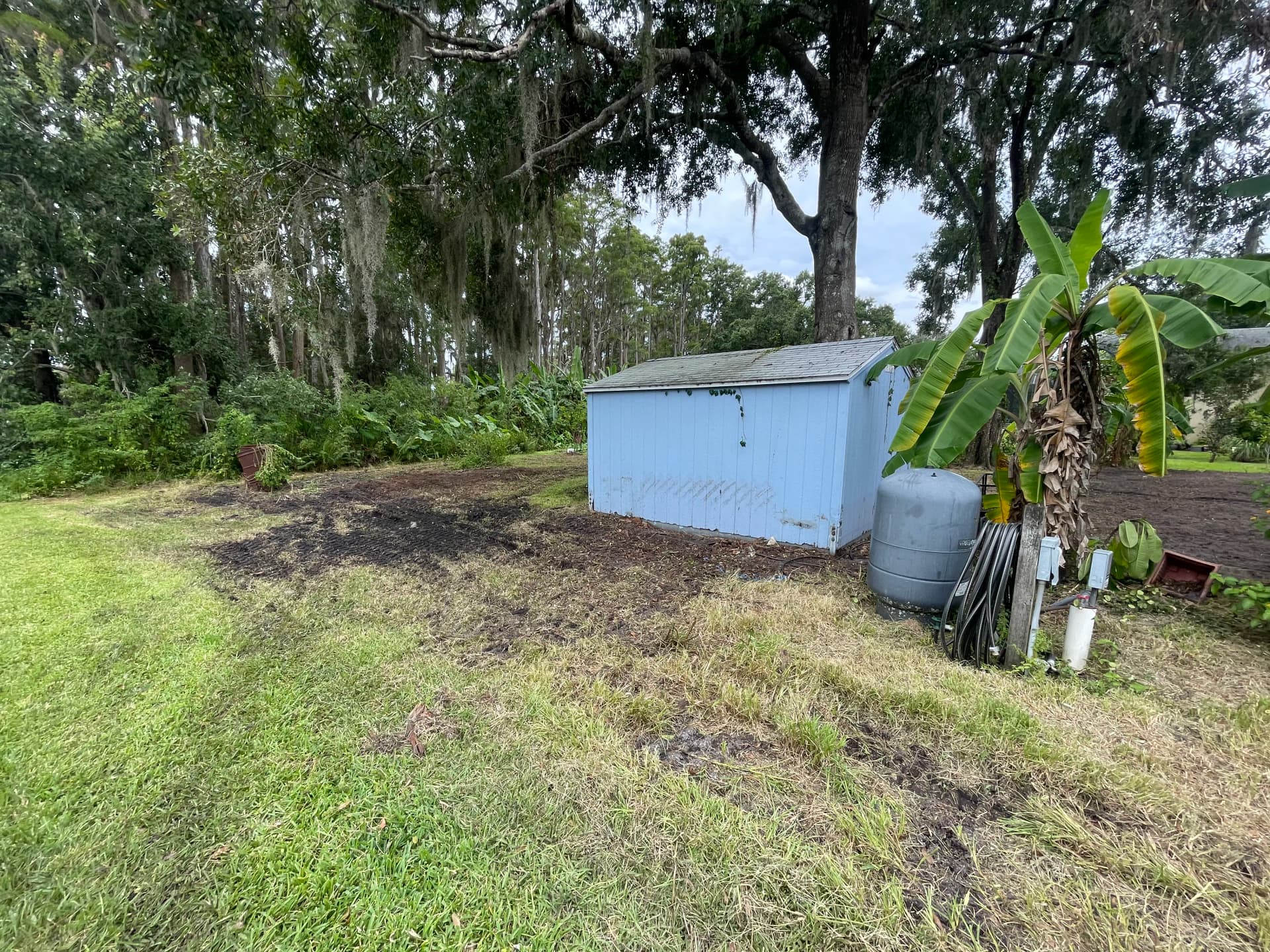 Gallery photos for Backyard Clearing and Grading Done Right in Lutz: Image #4