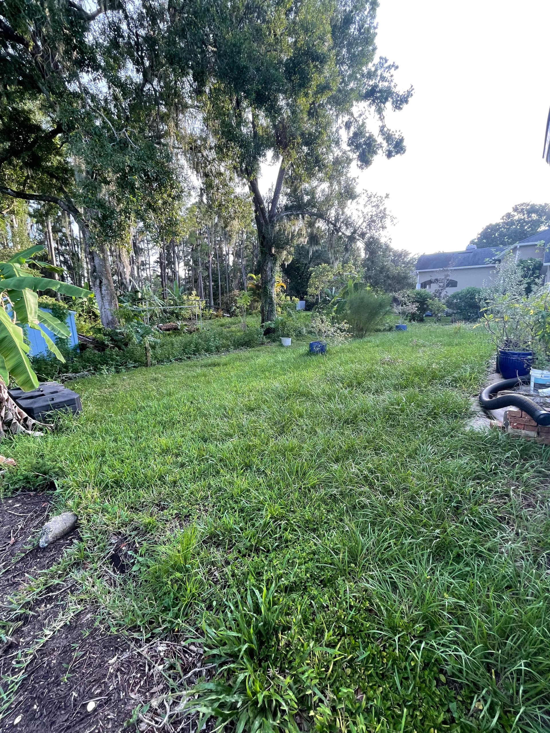 Gallery photos for Backyard Clearing and Grading Done Right in Lutz: Image #8