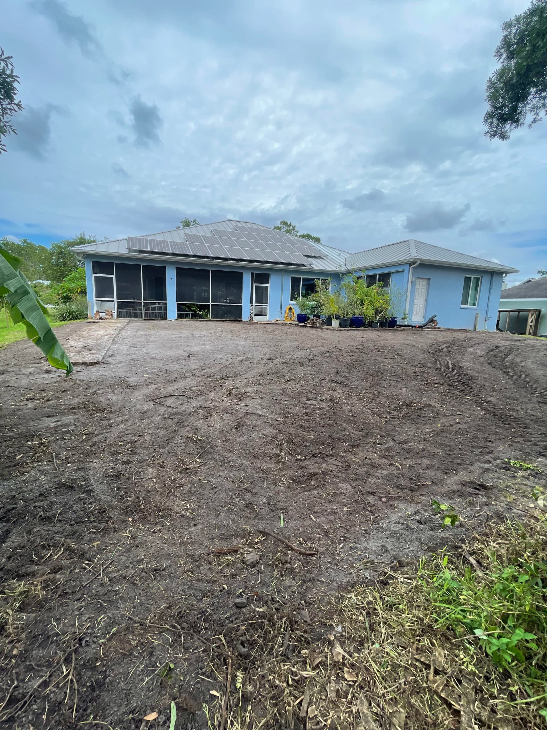 Backyard Clearing and Grading Done Right in Lutz image