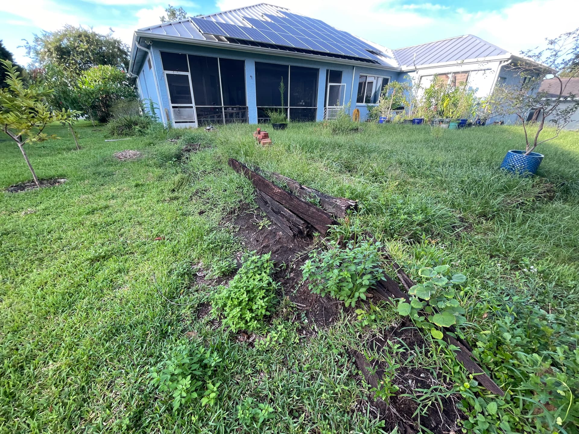 Gallery photos for Backyard Clearing and Grading Done Right in Lutz: Image #1