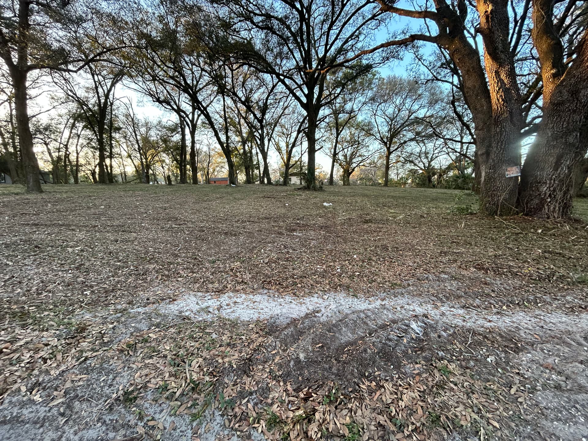 Gallery photos for Full Property Cleanup with Tree Work and Driveway Grading: Image #6