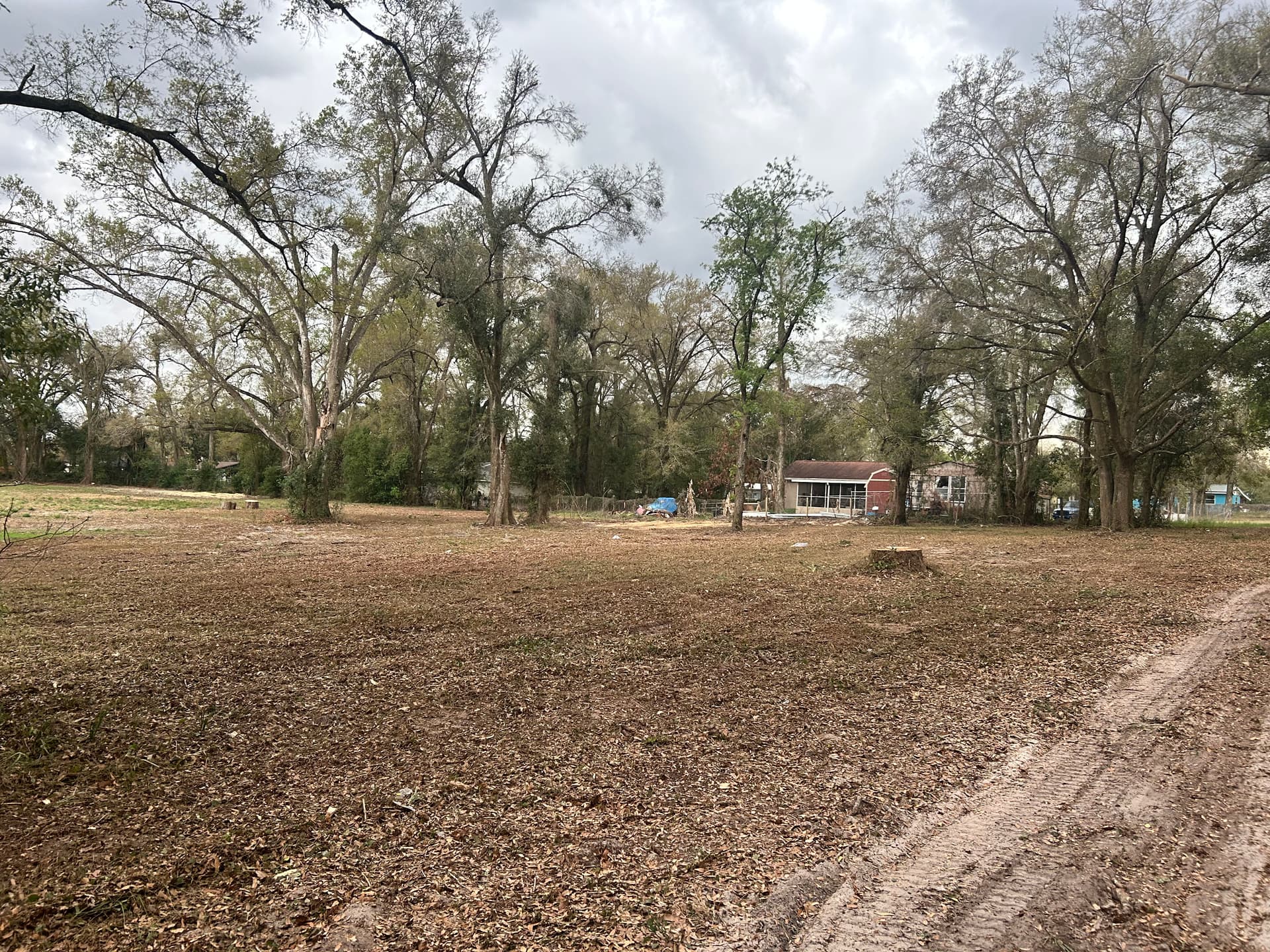 Full Property Cleanup with Tree Work and Driveway Grading image