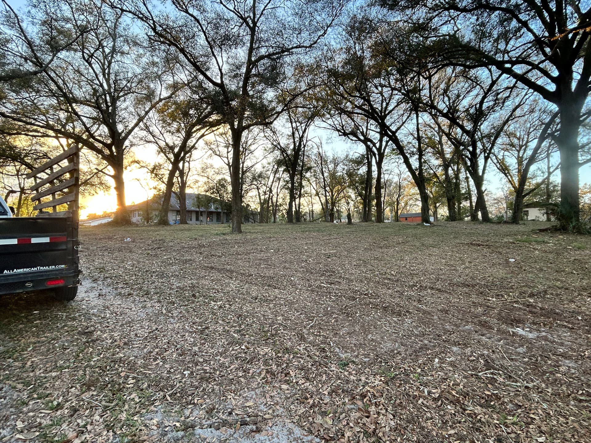 Gallery photos for Full Property Cleanup with Tree Work and Driveway Grading: Image #7