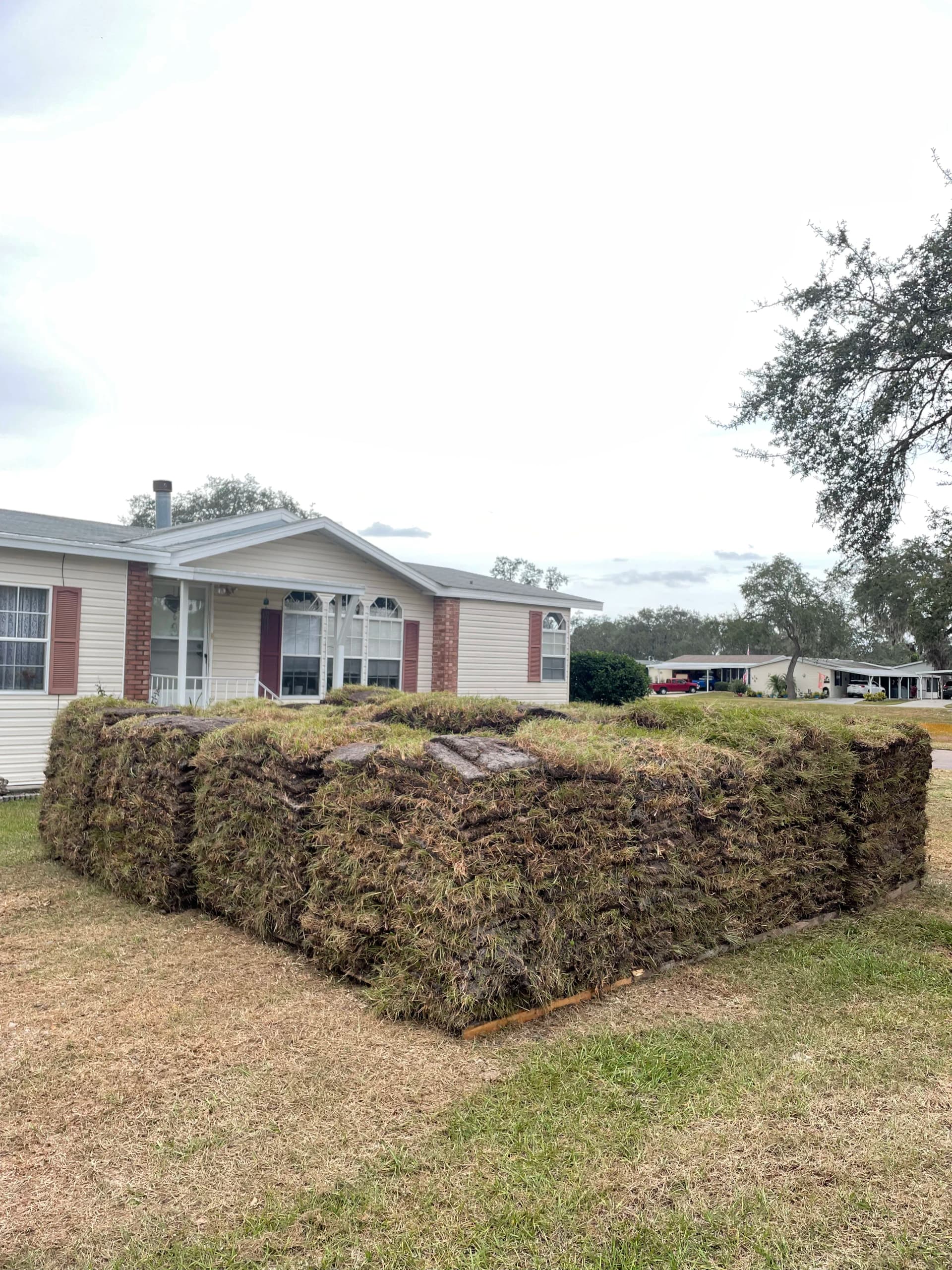 Gallery photos for Drainage Line Restoration and Sod Installation After 30 Years of Washout: Image #6