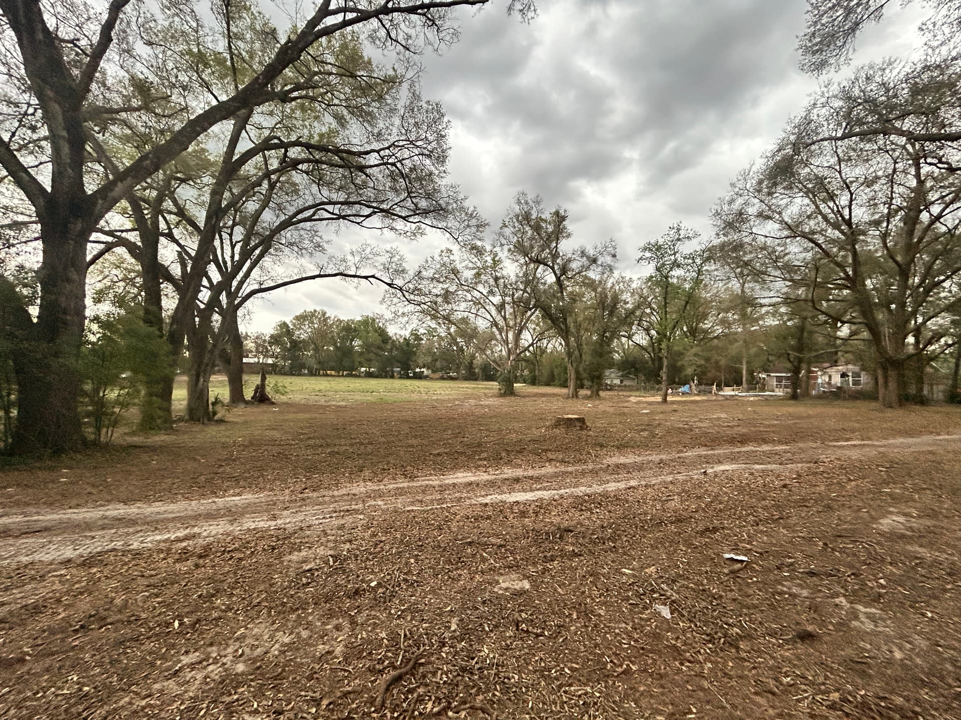 Gallery photos for Full Property Cleanup with Tree Work and Driveway Grading: Image #8