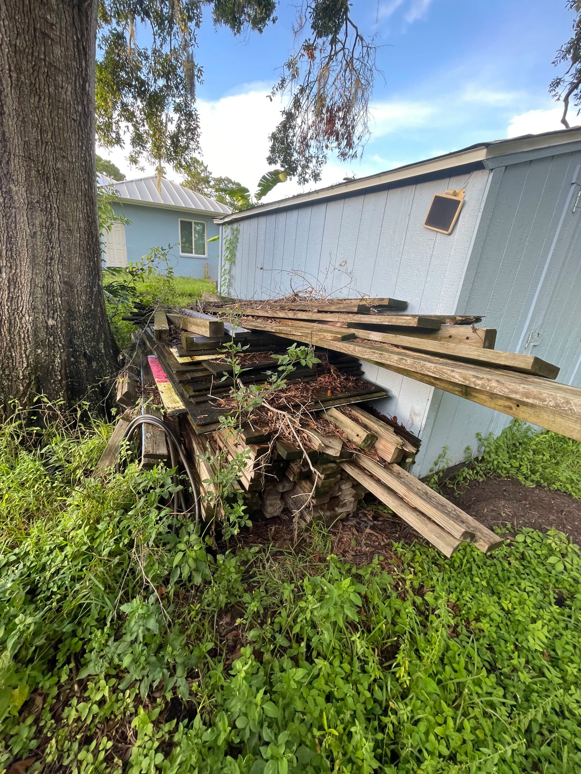 Gallery photos for Backyard Clearing and Grading Done Right in Lutz: Image #6