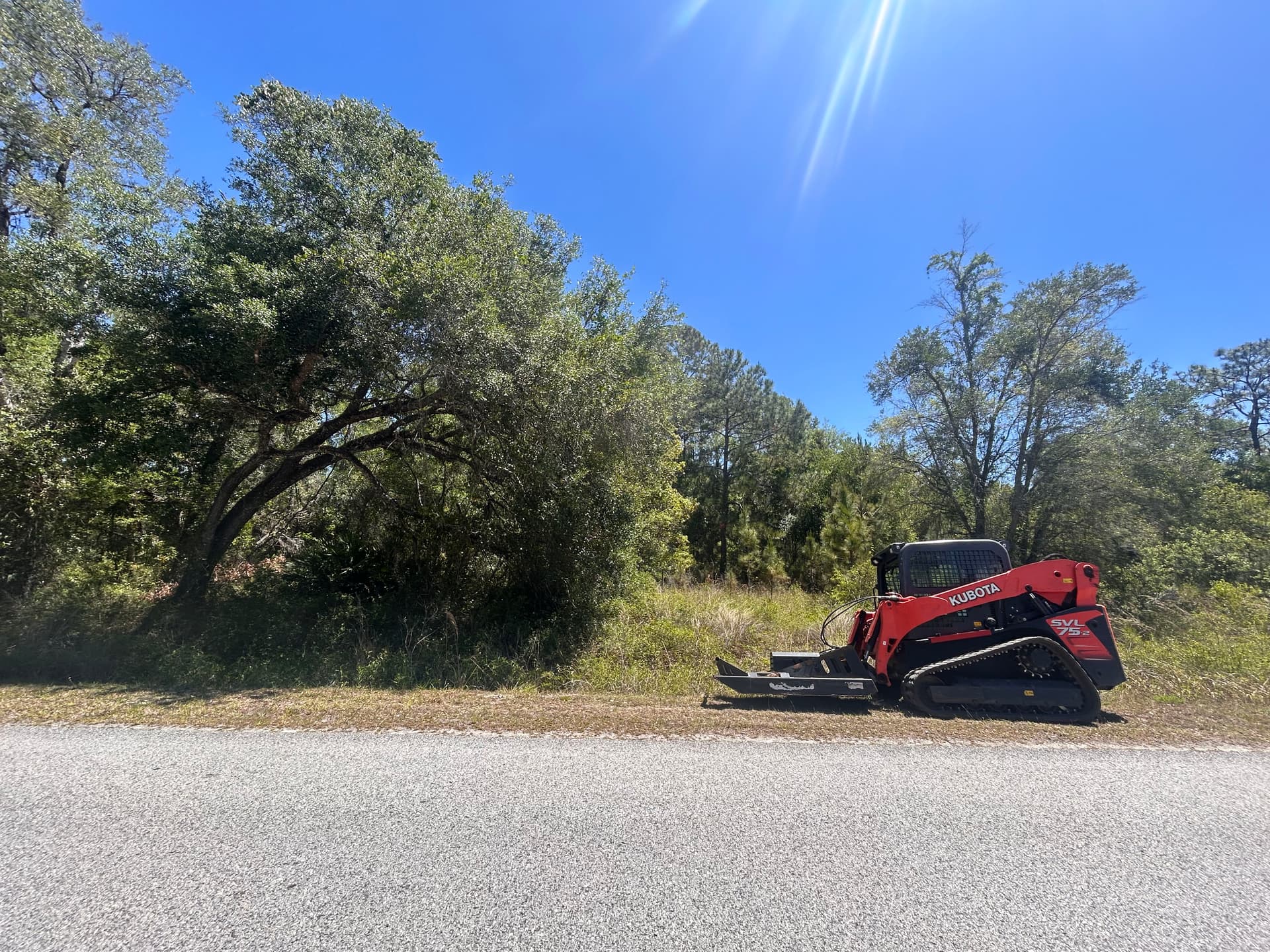 Gallery photos for Over an Acre of Brush and Vines Cleared for a Market-Ready Property: Image #1
