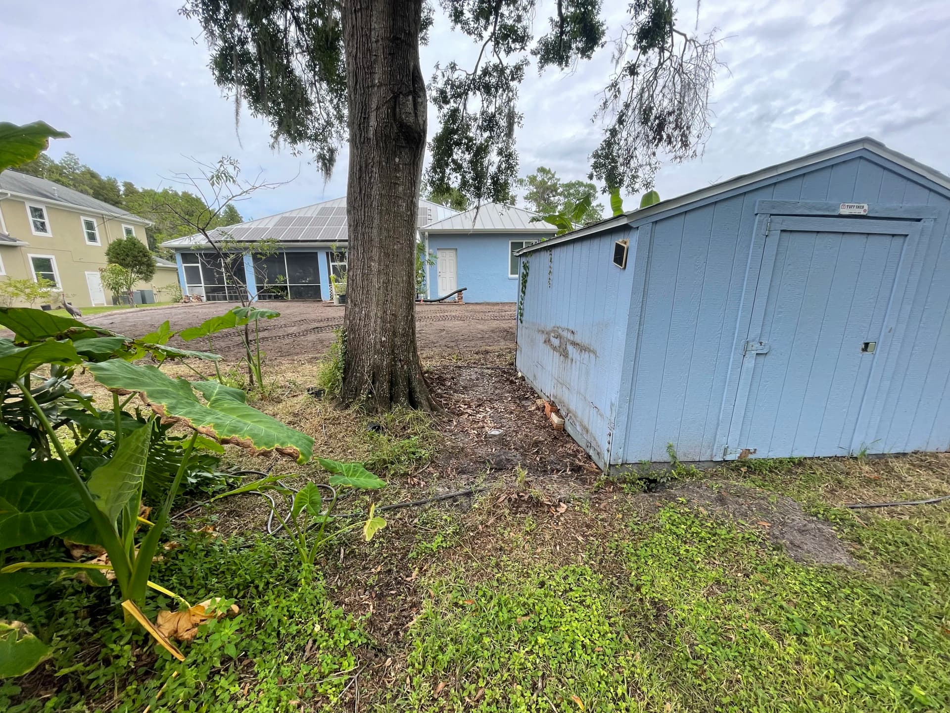 Gallery photos for Backyard Clearing and Grading Done Right in Lutz: Image #5