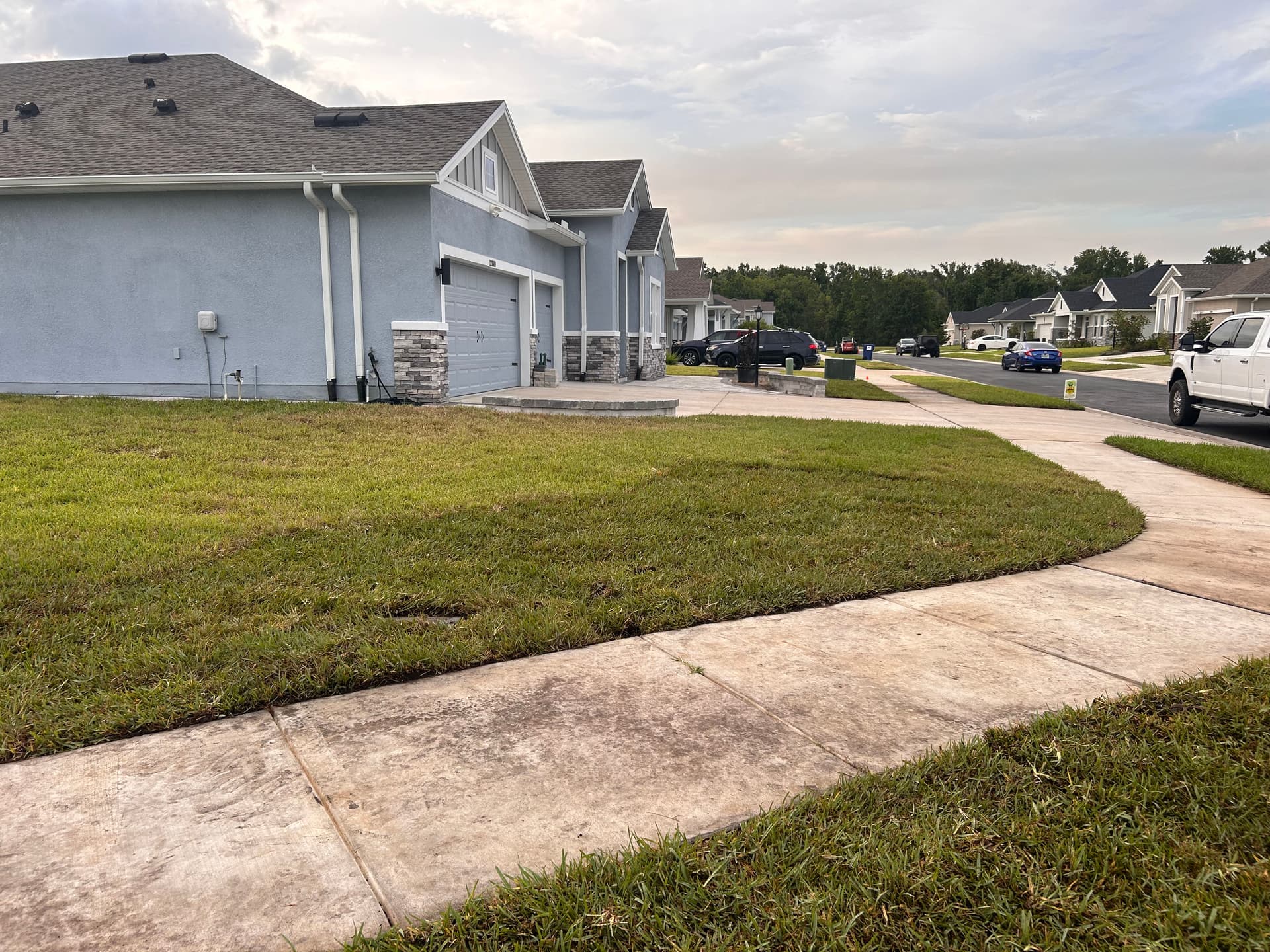 Gallery photos for Drainage Correction and Bahia Sod Install Next to a New Paver Patio: Image #3