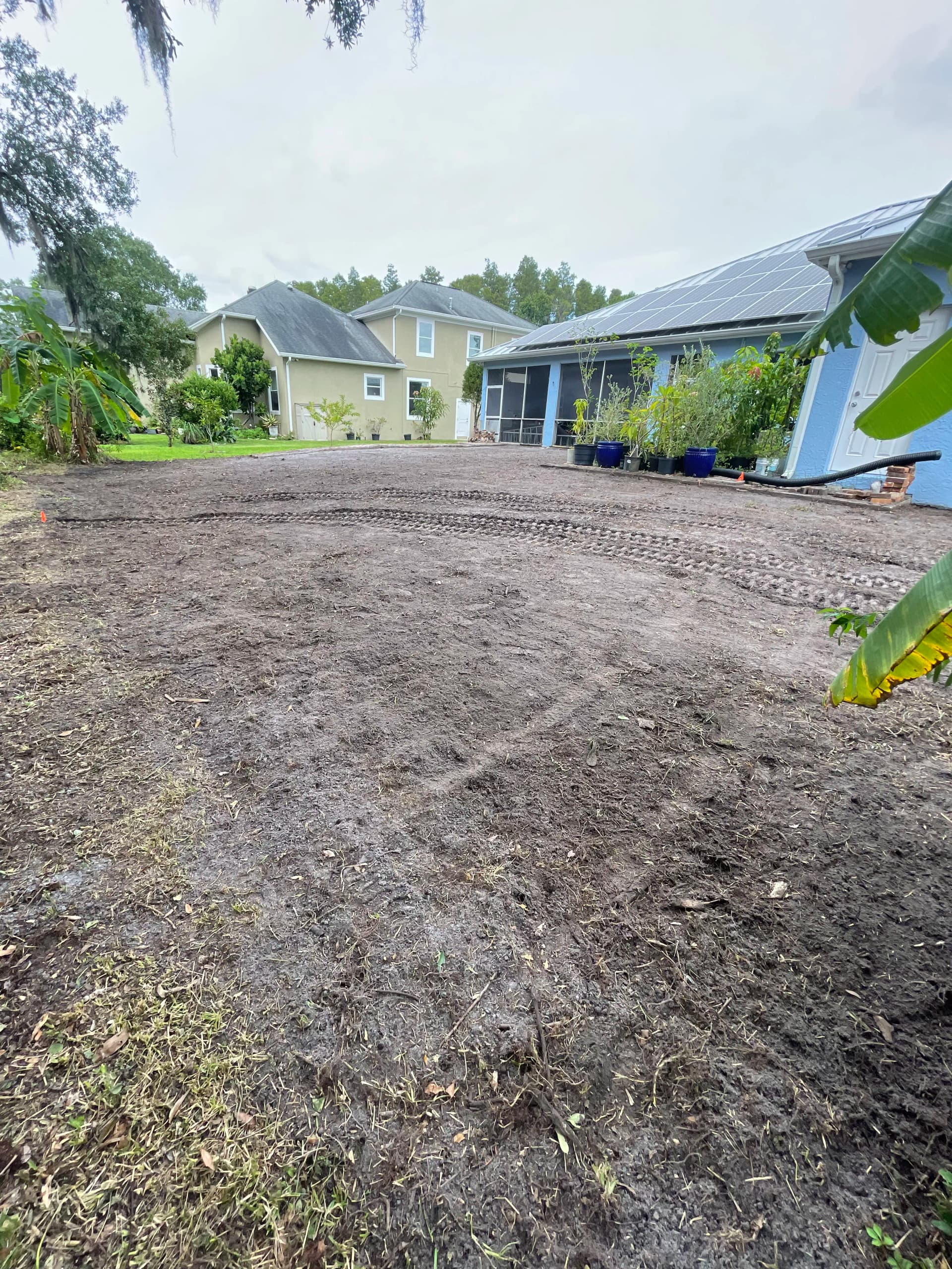 Gallery photos for Backyard Clearing and Grading Done Right in Lutz: Image #2