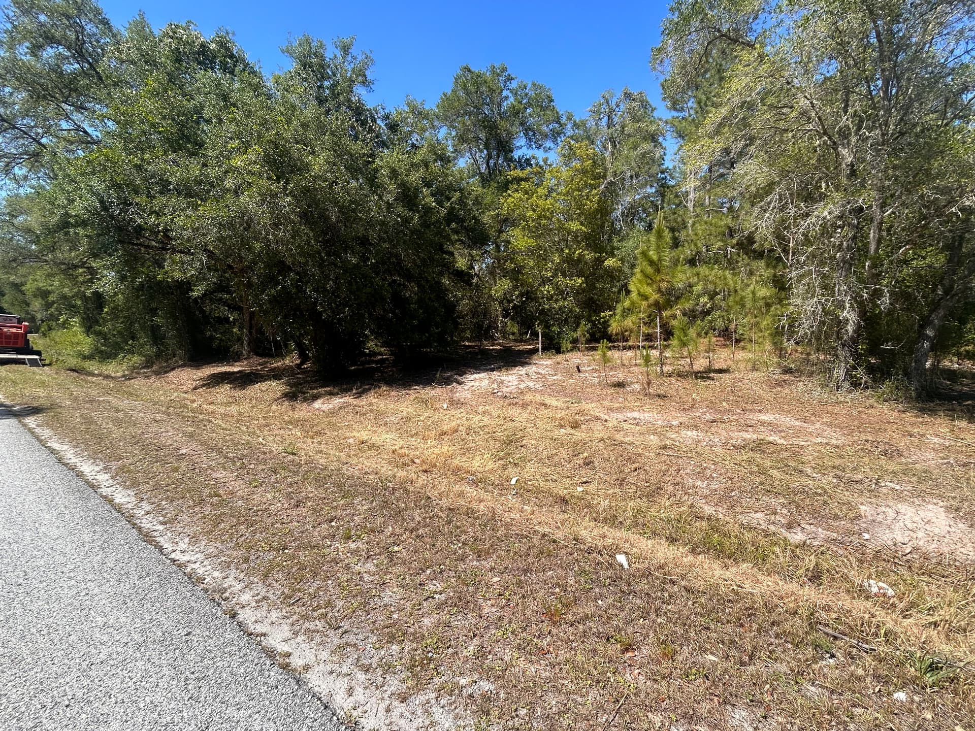 Over an Acre of Brush and Vines Cleared for a Market-Ready Property image