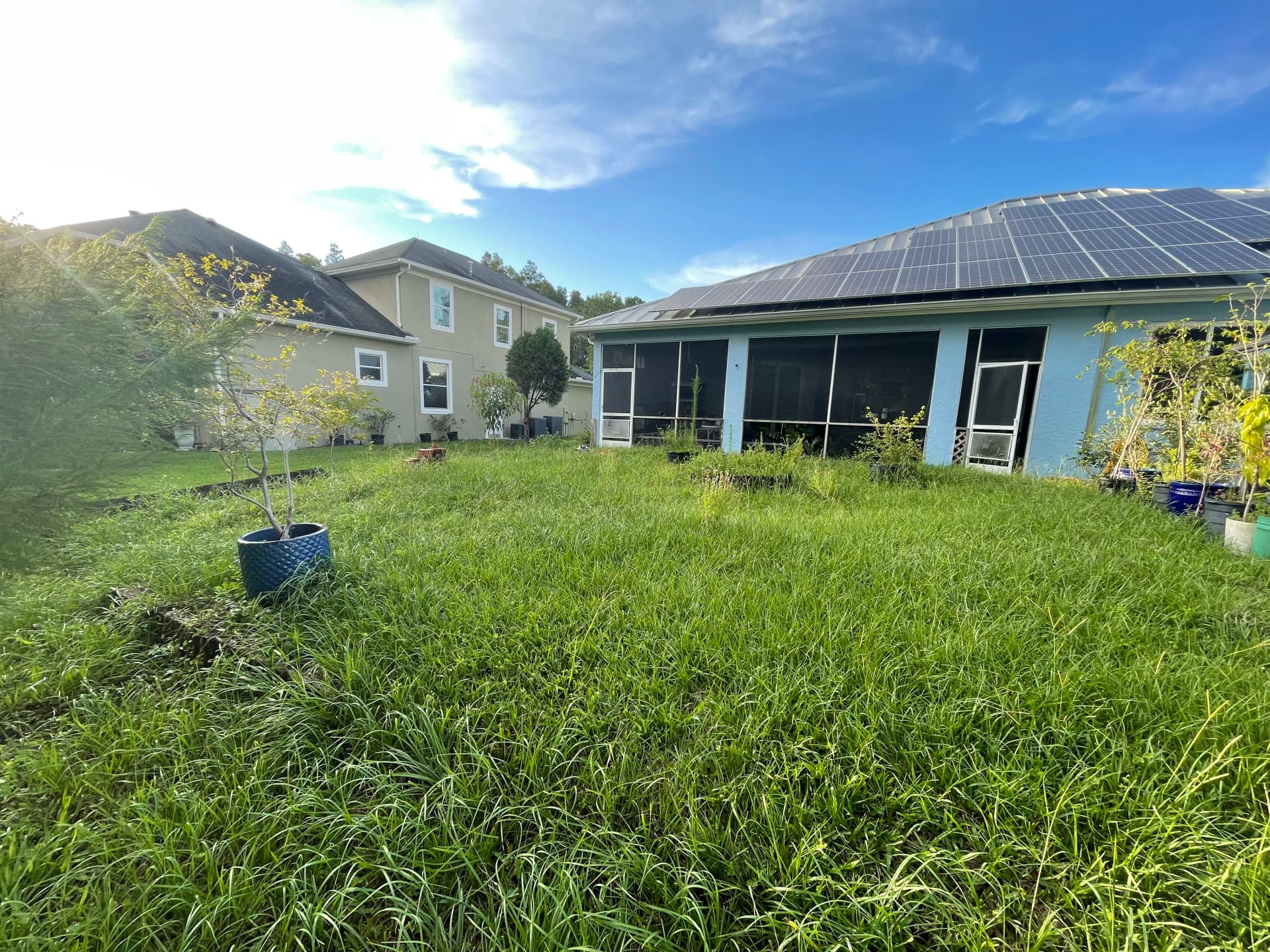 Gallery photos for Backyard Clearing and Grading Done Right in Lutz: Image #3