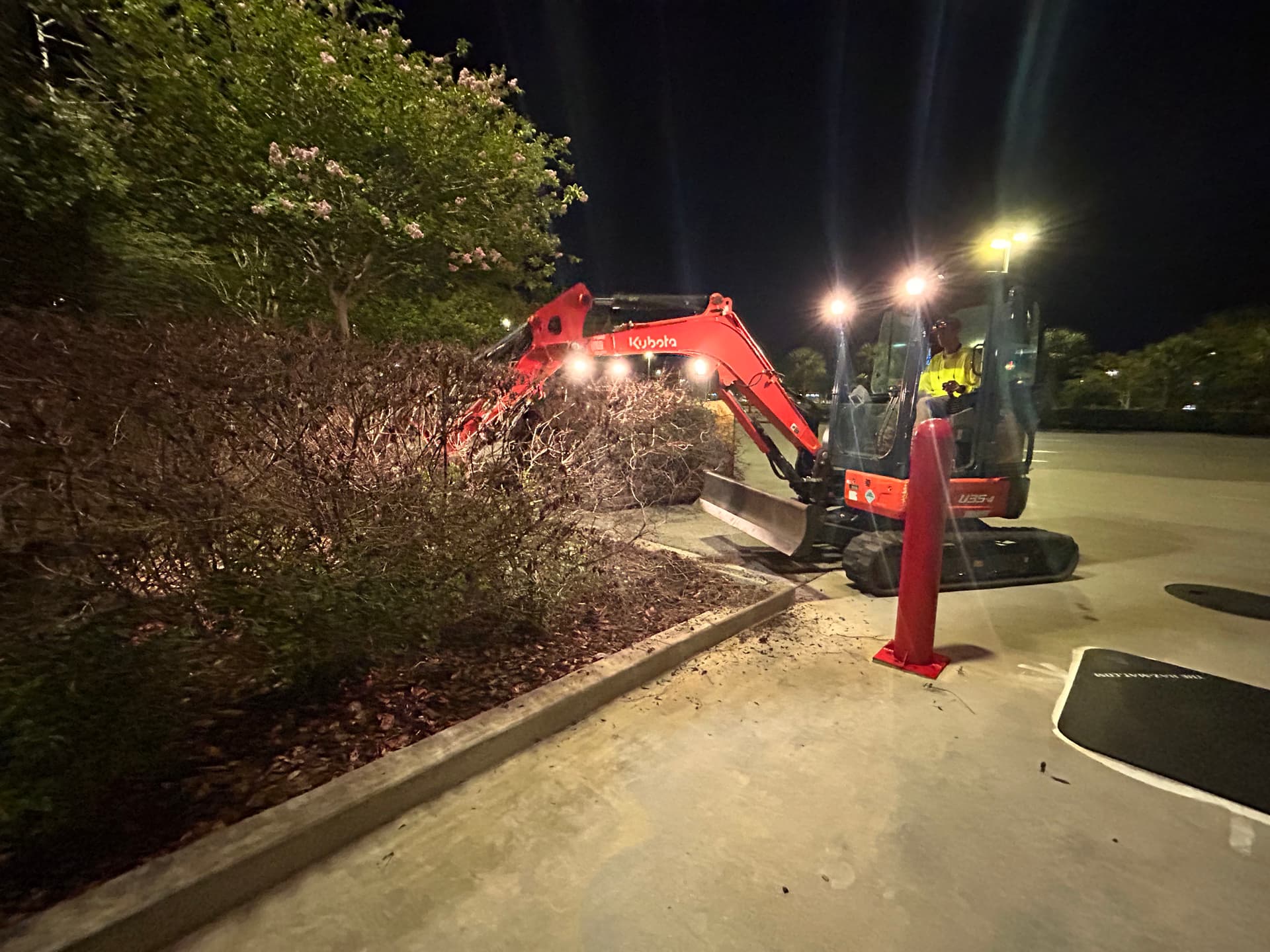 Gallery photos for Large-Scale Commercial Landscape Demo After Freeze Damage: Image #3